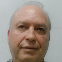 GEORGIOS DEMENAGAS, Project Manager