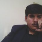 Qasim Raza, HRL as Accountant