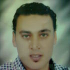 عمرو البربري, مهندس استشاري للدراسة والإشراف على المشاريع