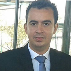 علاء أحمد عبدالحميد النجار, team leader