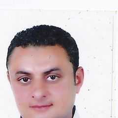 محمد حلواني, مدير تنفيذ