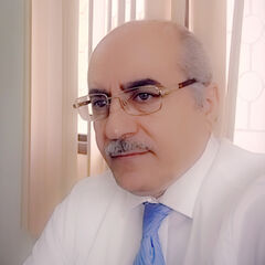Walid Khalil Atallah, Operations & Maintenance Projects Director