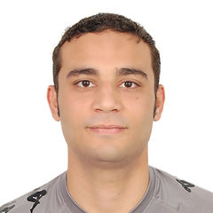 Ehab Zaki, Senior Accountant