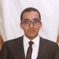 Mahmoud Hassan, Internal Auditor