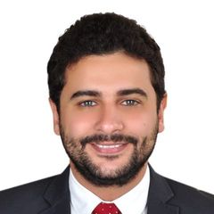 زياد صالح, Sales engineer
