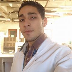 محمد أحمد عبد الغنى  عبد الغنى, مختبر كيميائى
