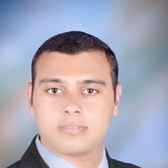 محمد انس محمد الباز, محامي