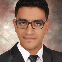 أحمد الحوفي, Civil Engineer