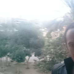 mohammed أحمد السيد أحمد