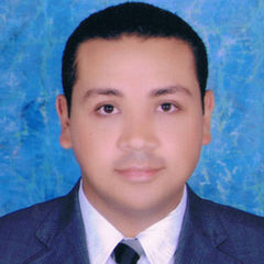 Abdelhamid Bahnawy, AUTOMATION ENGINEER