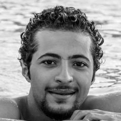 Ahmed El-Sherief