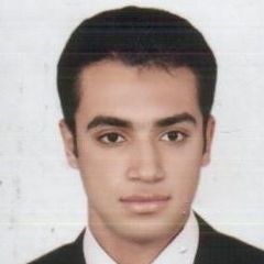 ِAyman Ghoniemy Ali Mohamed, Accountant 