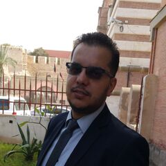 فارس شعيب, Developer / IT Auditor