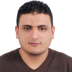 محمود رجب, Export Specialist