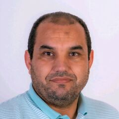 Mohamed Mansour Hafez  Ahmed, Procurement Manager