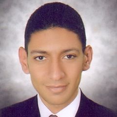 محمود محمد عبد الفتاح, Administrative Manager