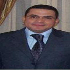Ibrahim Abdelfattah, Electrical Engineer