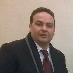 ريمون رشدي عزيز السبكي, Accounting Manager