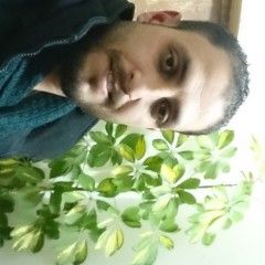 ahmad mohammad zaki alkateeb Alkateeb