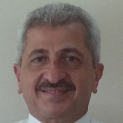Ayman Farouk, Technical Director