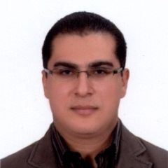 Mohamed Abdel-Gawad, Bid Manager / Sr. Business Consultant