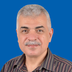 محمد قفيني, Mathematics Instructor