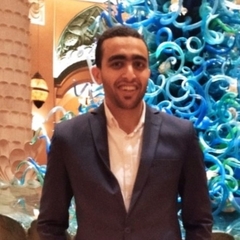 ahmed Abozaid, Procurement and Supply Chain Coordinator