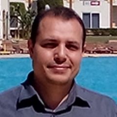 Alaa Safei - PMP, Software Project Manager