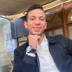 Mahmoud Oraby, Internal Auditor