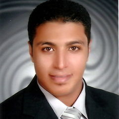 Elsayed Awaad, Engineer