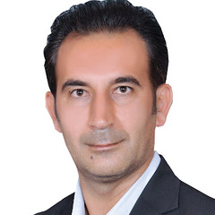 Mohammad Reza Heidari, Electrical Engineer