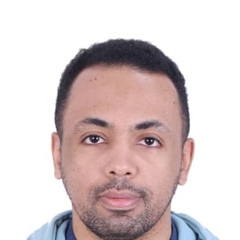 Mohamed Abdelgadir Abdelgadir, business travel agent