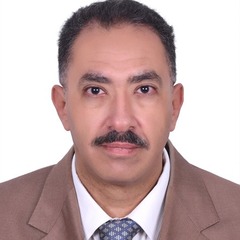 Ahmed Hussein Hosny Aly El Tobgy, Project Manager