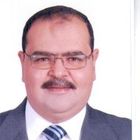 Mohamed Abdel Hamid, Princaple advanced customer suppert engneer (Team Leader)