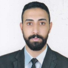 Bakr Kamel