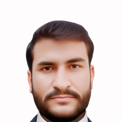 Hamid Ullah