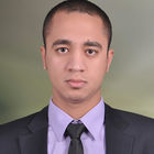 عمرو عكوش, Accountant