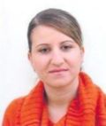 مريم بينابديلكريم, WEB/WAP Contents specialist