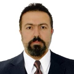 رافي جتو, Commercial Advisor & Independent Project Development