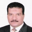 khaled elhussini, sales manager
