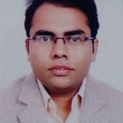 bhanu garg, Lead Consultant