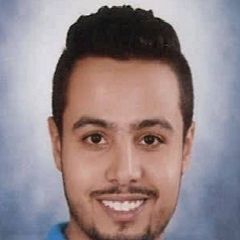 Ahmed Shalaby, محاسب طيران وسياحه