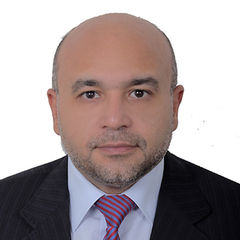Zeyad Mahmoud Emam, Assistant Manager (Team Leader)