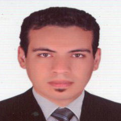 احمد اسماعيل محمد, Warehouse Executive 