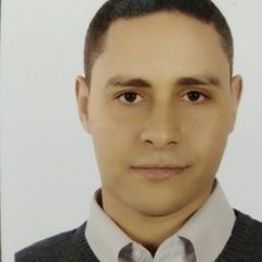 Mohamed Wasfy, Salesman