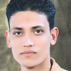 هشام حسن الصياد الجمال, صاحب العمل