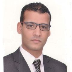 عمرو فريد محمود دسوقي حماد فريد, محاسب ومراجع ومدقق