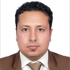 Ahmed Elhenawy, Senior Accountant