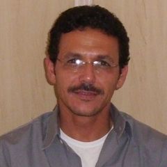 Ahmad Lotfy Ahmad El-Sayed, Chief surveyor
