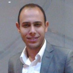 Mohamed Ellaboudy, A Real Estate Evaluator